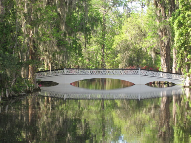 Charleston - La plantation Magnolia et ses jardins