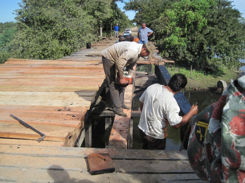 Pantanal brésilien